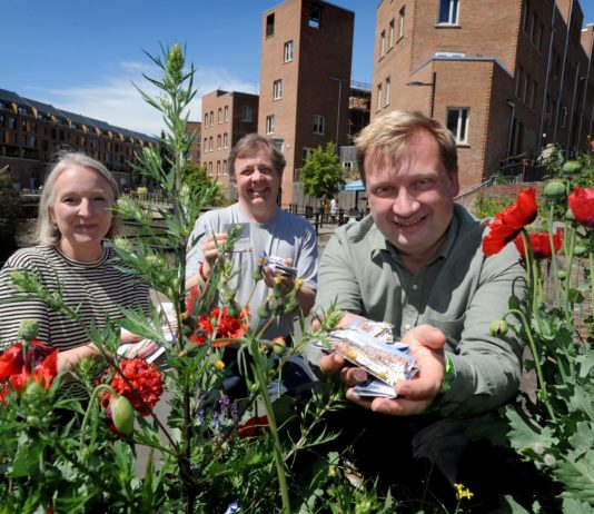 Newest Housing Development Promoting The Environment's Wellbeing